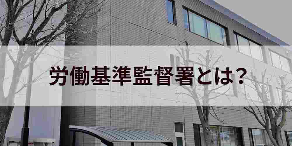 記事のイメージ画像